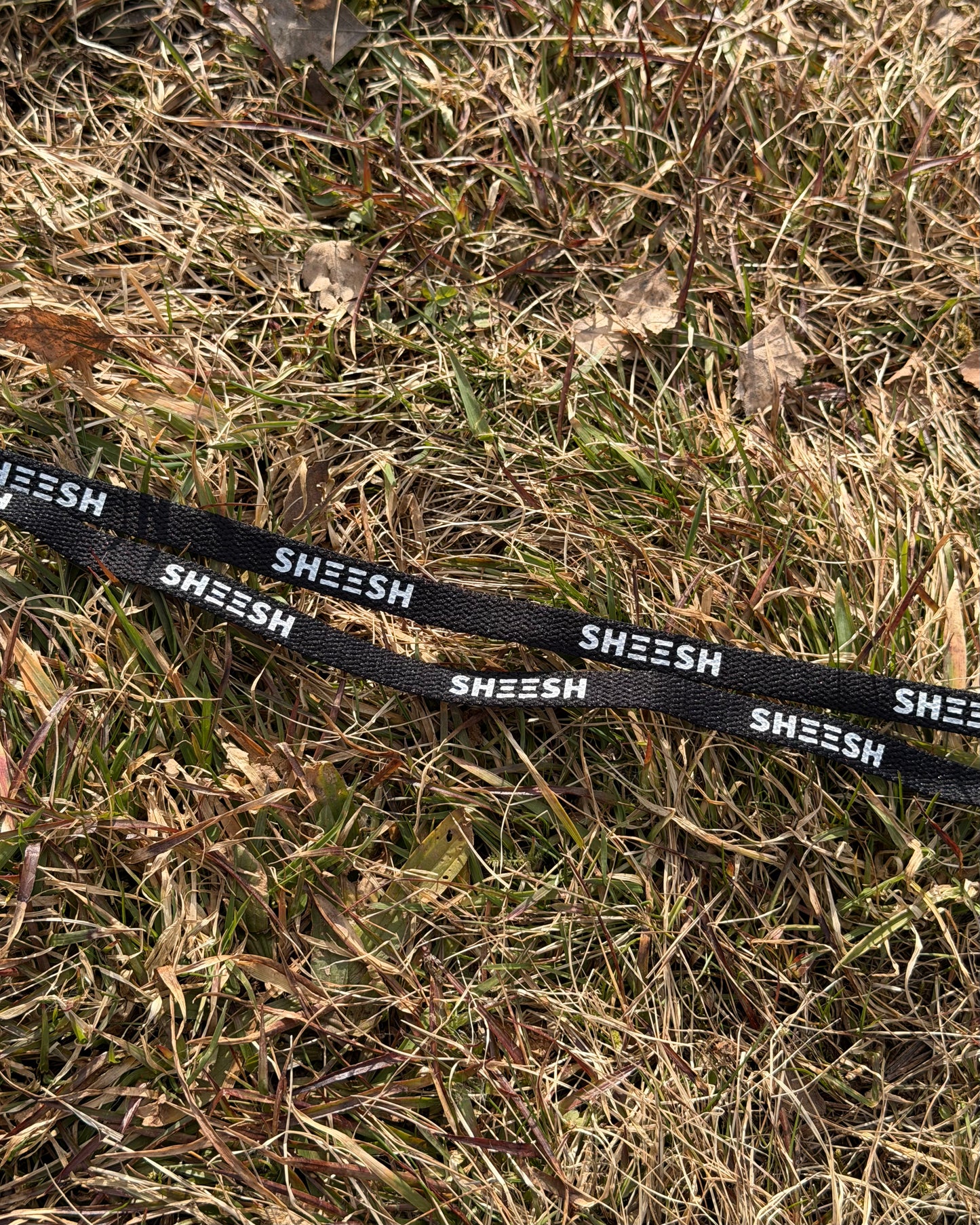 SHEESH STEeZE LACES - LIMITED STEeZE DROP #02